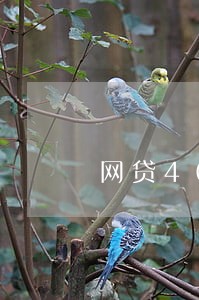 网贷4000元逾期一天罚息多少 网贷4000元逾期一天罚息多少