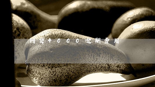 网贷4000逾期费用 网贷4000逾期费用