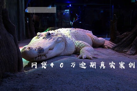 网贷40万逾期真实案例 网贷40万逾期真实案例