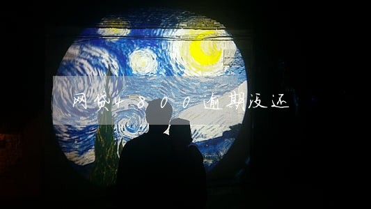 网贷4800逾期没还 网贷4800逾期没还