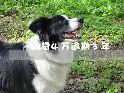 网贷4万逾期3年 网贷4万逾期3年