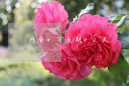 网贷4万逾期40天 网贷4万逾期40天