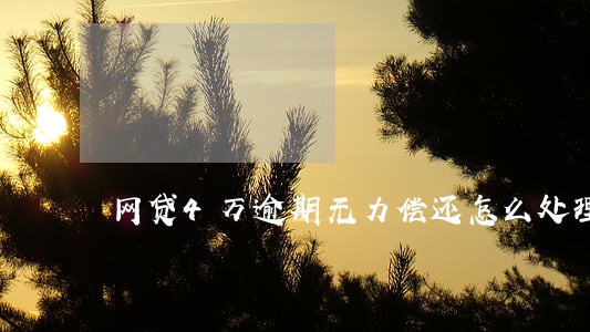 网贷4万逾期无力偿还怎么处理 网贷4万逾期无力偿还怎么处理
