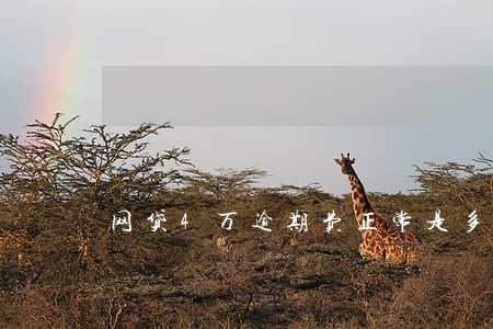 网贷4万逾期费正常是多少 网贷4万逾期费正常是多少