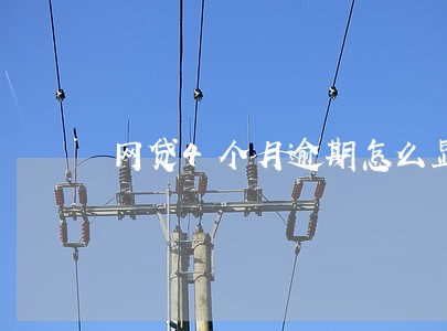 网贷4个月逾期怎么显示 网贷4个月逾期怎么显示