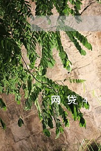 网贷4个逾期办信用卡吗 网贷4个逾期办信用卡吗