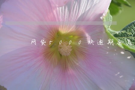 网贷5000块逾期会怎么样