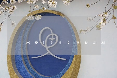 网贷5000多块逾期 网贷5000多块逾期