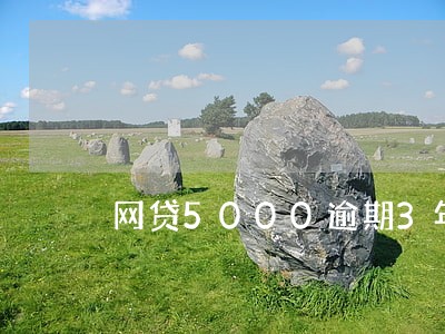 网贷5000逾期3年要还3万 网贷5000逾期3年要还3万
