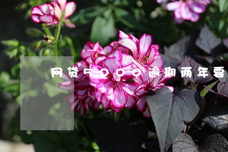 网贷5000逾期两年要还多少 网贷5000逾期两年要还多少