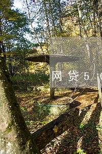 网贷5000逾期费用多少 网贷5000逾期费用多少