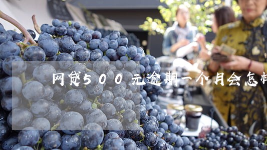 网贷500元逾期一个月会怎样