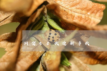 网贷50次逾期多次 网贷50次逾期多次