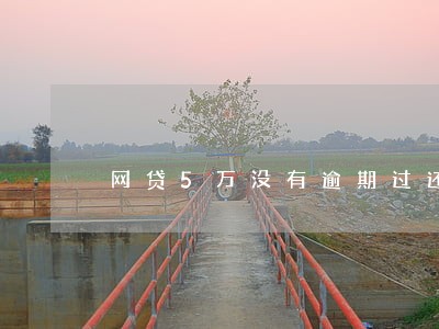 网贷5万没有逾期过还能车贷吗 网贷5万没有逾期过还能车贷吗