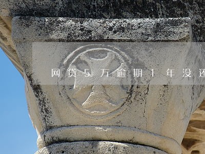 网贷5万逾期1年没还了