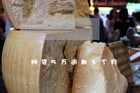 网贷5万逾期3个月 网贷5万逾期3个月