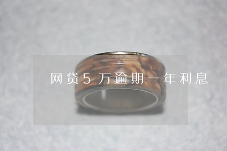 网贷5万逾期一年利息 网贷5万逾期一年利息
