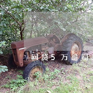 网贷5万逾期三年应还多少 网贷5万逾期三年应还多少
