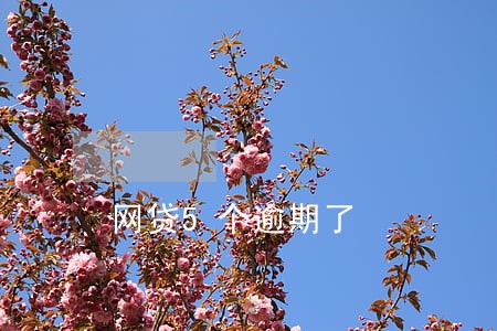 网贷5个逾期了 网贷5个逾期了