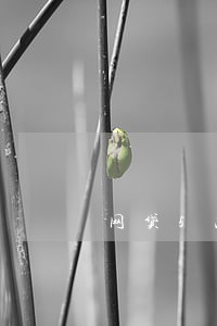 网贷5次没逾期会影响买房贷款吗 网贷5次没逾期会影响买房贷款吗