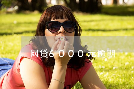 网贷6000元逾期