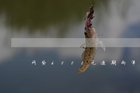 网贷6000元逾期两年 网贷6000元逾期两年
