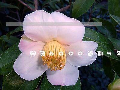 网贷6000逾期5年 网贷6000逾期5年
