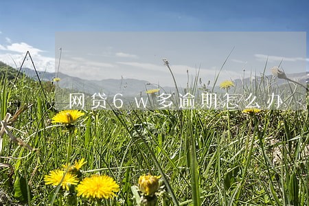 网贷6w多逾期怎么办 网贷6w多逾期怎么办