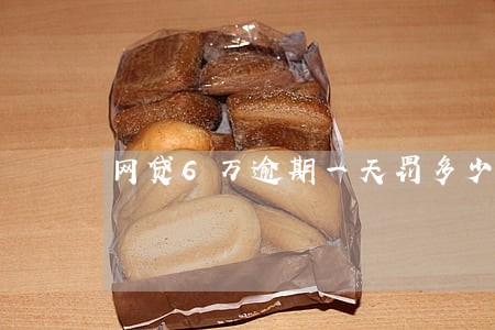 网贷6万逾期一天罚多少 网贷6万逾期一天罚多少