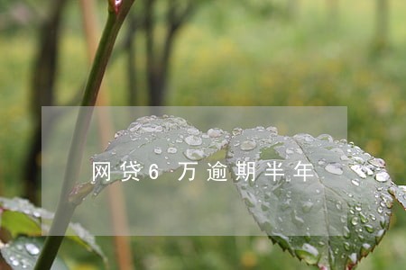 网贷6万逾期半年