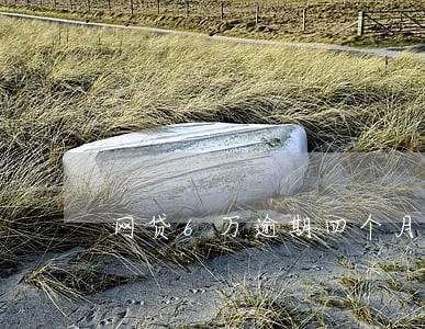 网贷6万逾期四个月了 网贷6万逾期四个月了