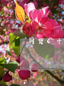 网贷6千一年逾期费用