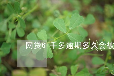 网贷6千多逾期多久会被起诉 网贷6千多逾期多久会被起诉