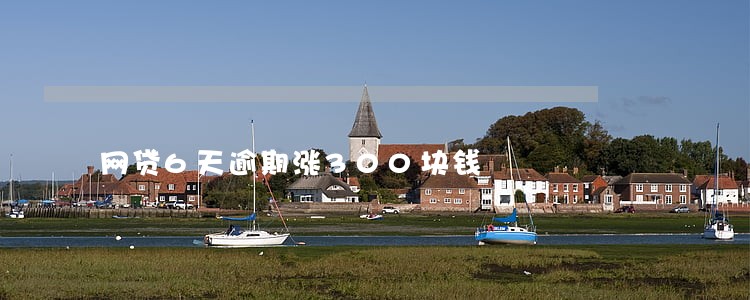 网贷6天逾期涨300块钱 网贷6天逾期涨300块钱