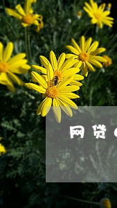 网贷6月逾期率 网贷6月逾期率