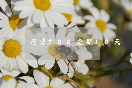 网贷700逾期10天 网贷700逾期10天