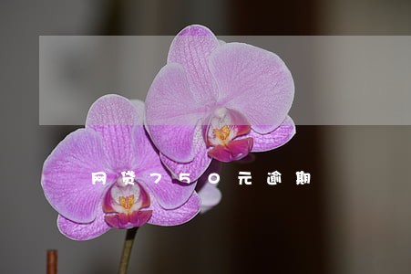 网贷750元逾期 网贷750元逾期