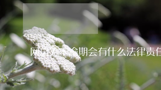 网贷7千逾期会有什么法律责任 网贷7千逾期会有什么法律责任