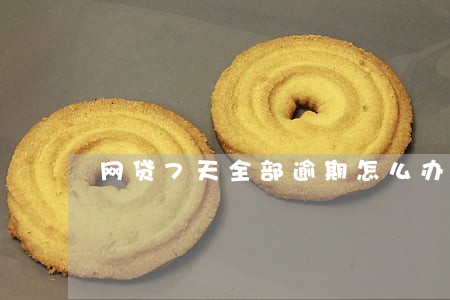 网贷7天全部逾期怎么办