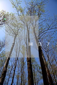 网贷7天贷小额贷款逾期 网贷7天贷小额贷款逾期