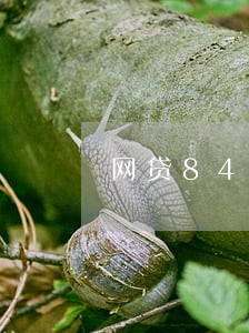 网贷8400逾期10年