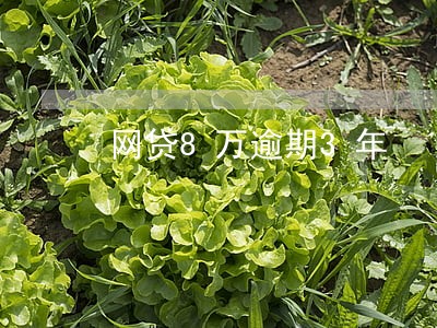 网贷8万逾期3年 网贷8万逾期3年