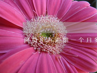 网贷8万逾期一个月多少利息 网贷8万逾期一个月多少利息