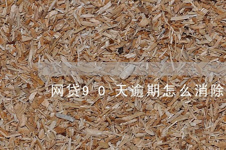 网贷90天逾期怎么消除 网贷90天逾期怎么消除