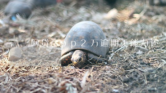 网贷app2万逾期无能力还 网贷app2万逾期无能力还