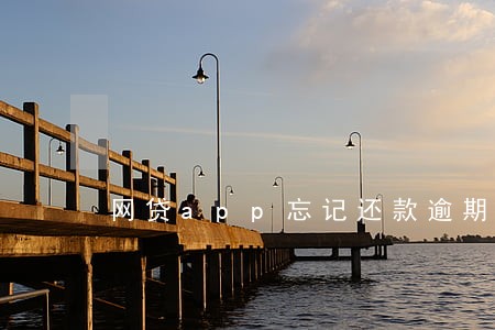 网贷app忘记还款逾期一天