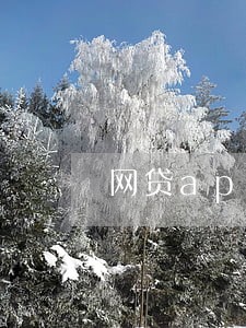 网贷app能修改逾期金额吗 网贷app能修改逾期金额吗