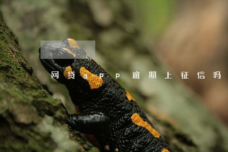 网贷app逾期上征信吗 网贷app逾期上征信吗