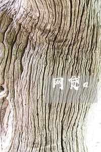 网贷app逾期影响房贷吗 网贷app逾期影响房贷吗