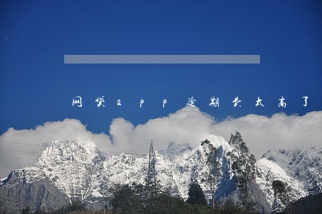 网贷app逾期费太高了 网贷app逾期费太高了